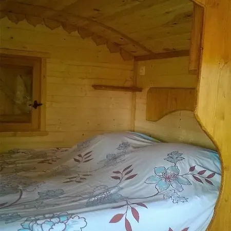 Le Mas Des Lavandieres B&B